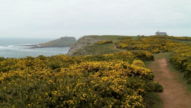 Coastguard Station with Worms Head in the background